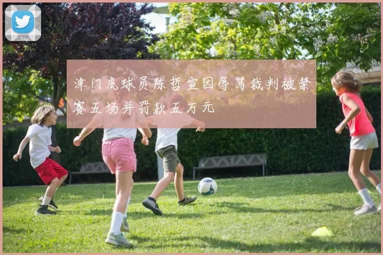 津门虎球员陈哲宣因辱骂裁判被禁赛五场并罚款五万元